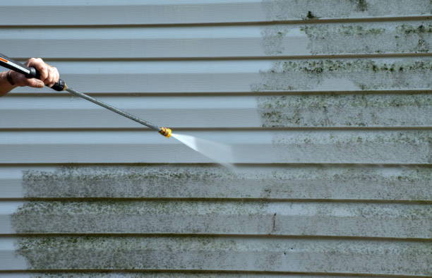 Professional Pressure Washing in Victoria, MS