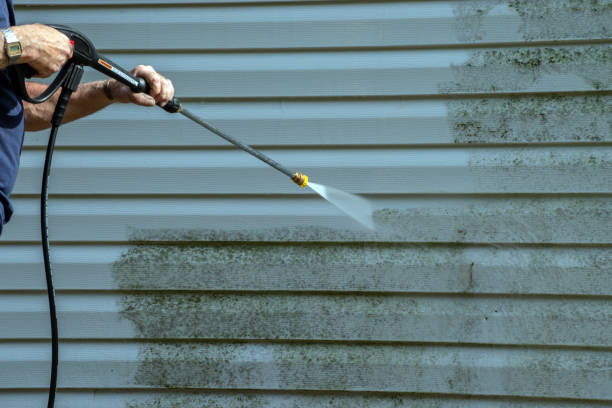 Best Affordable Pressure Washing  in Victoria, MS