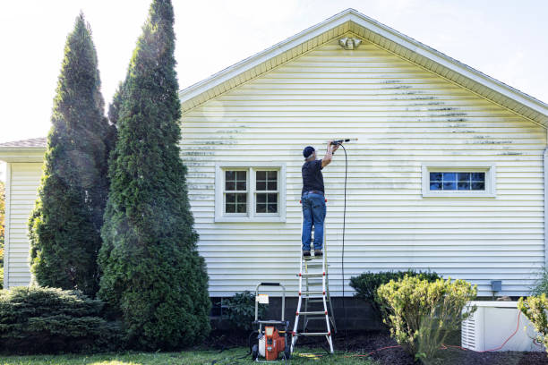 Trusted Victoria, MS Pressure Washing Experts