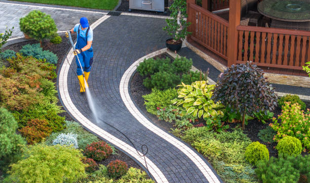 Best Pressure Washing Contractors  in Victoria, MS